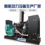 濰坊柴油發電機組