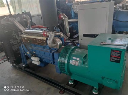 柴油發電機組 柴油發電機組